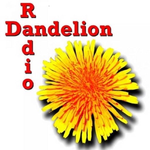 Dandelion Radio