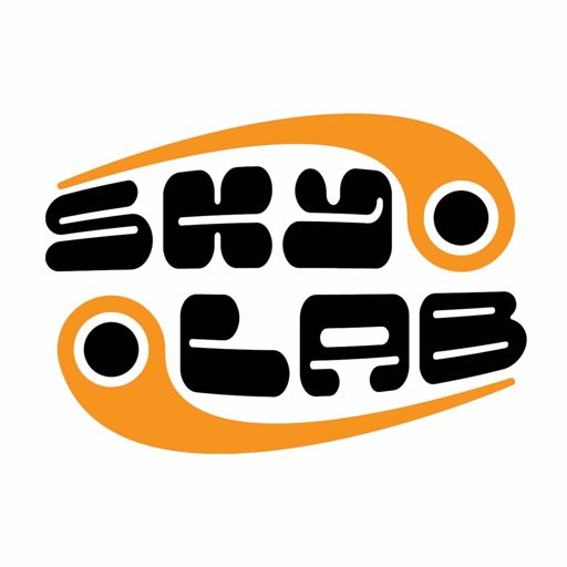 Skylab Radio